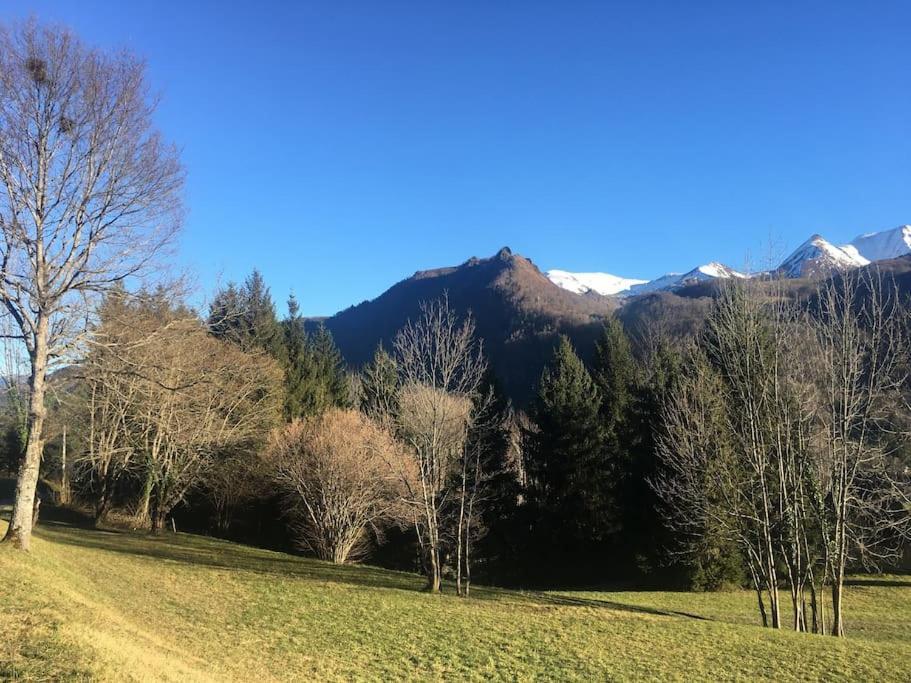 Top Floor Apartment With Mountain Views In The Centre Of Argeles Gazost Kültér fotó